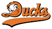 Flying Ducks